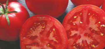 Představujeme vám odrůdu rajčat Prista F1